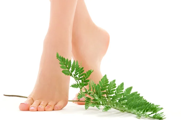 Kvinnliga fötter med grönt blad — Stockfoto