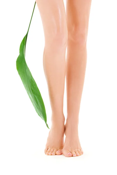 Kobiece nogi z zielonych liści — Zdjęcie stockowe