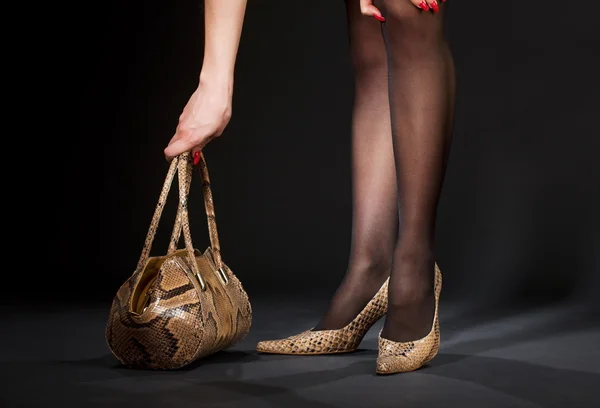 Snakeskin 신발과 핸드백 — 스톡 사진