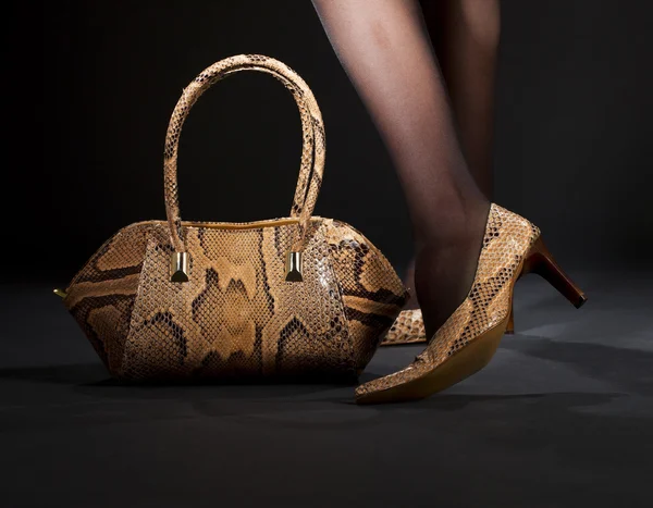 Kígyóbőr cipő és táska — Stock Fotó
