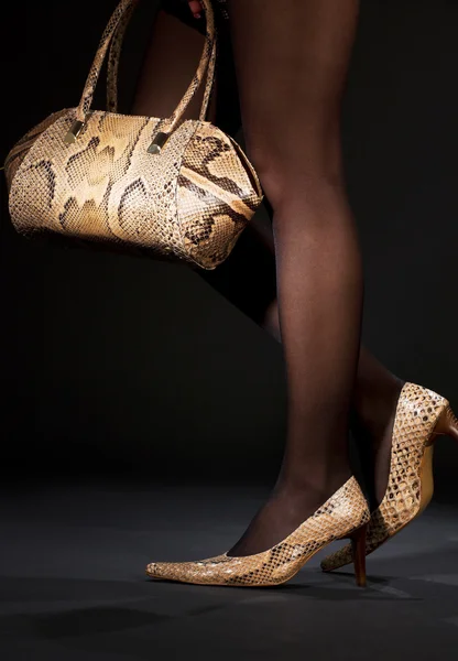 Yılan derisi Ayakkabı ve çanta — Stok fotoğraf