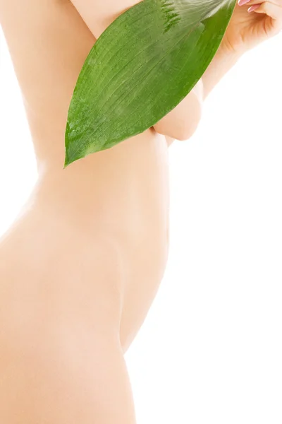 Torso femenino con hoja verde sobre blanco — Foto de Stock