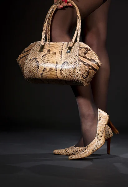 Sapatos de pele de cobra e bolsa — Fotografia de Stock