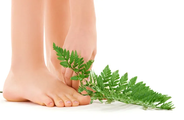 Kadın ayakları ile yaprak yeşil — Stok fotoğraf
