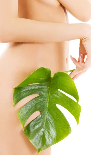 Kvinnlig torso med gröna blad över vita — Stockfoto