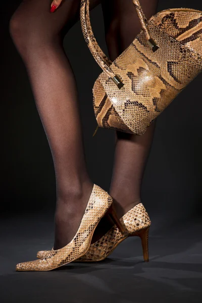 蛇の靴とハンドバッグ — ストック写真