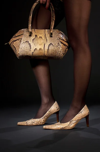 Snakeskin shoes and handbag — Stock Photo, Image
