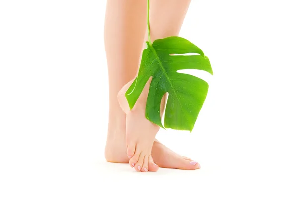 Pernas femininas com folha verde — Fotografia de Stock