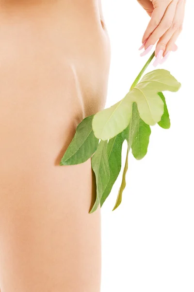 Torso femenino con hoja verde sobre blanco —  Fotos de Stock