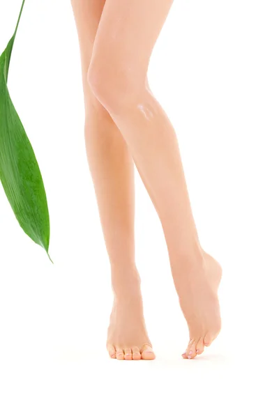 Weibliche Beine mit grünem Blatt — Stockfoto