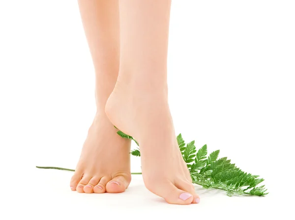 Kadın bacakları ile yaprak yeşil — Stok fotoğraf