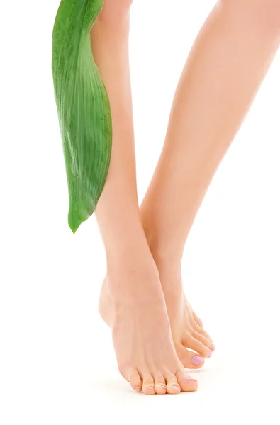 Kvinnliga ben med grönt blad — Stockfoto