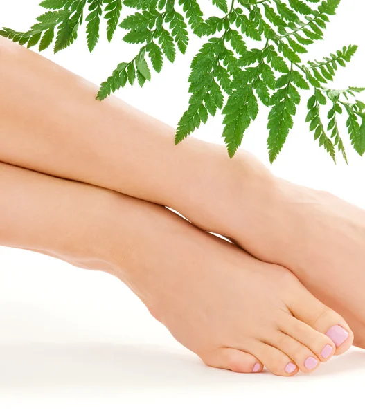 Женские ноги с зеленым листом — стоковое фото