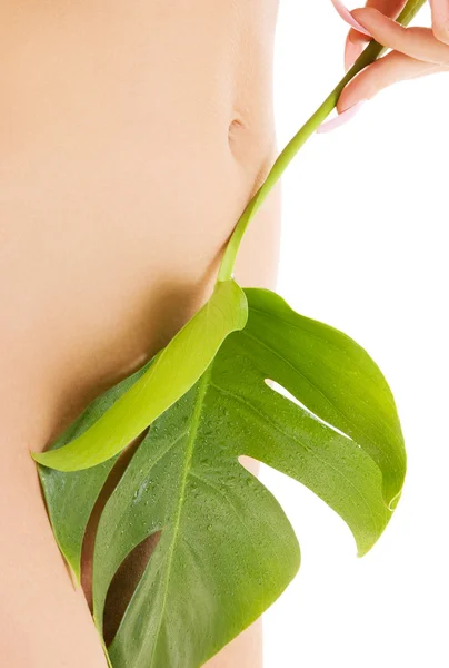 Torso feminino com folha verde sobre branco — Fotografia de Stock