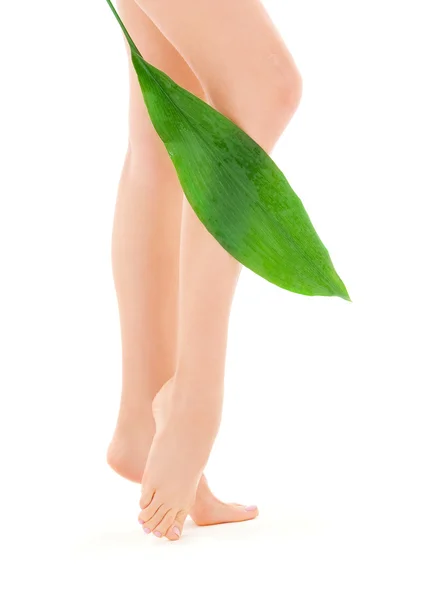 녹색 잎 여성 다리 — 스톡 사진