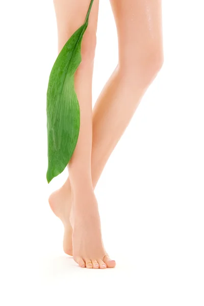 Kobiece nogi z zielonych liści — Zdjęcie stockowe