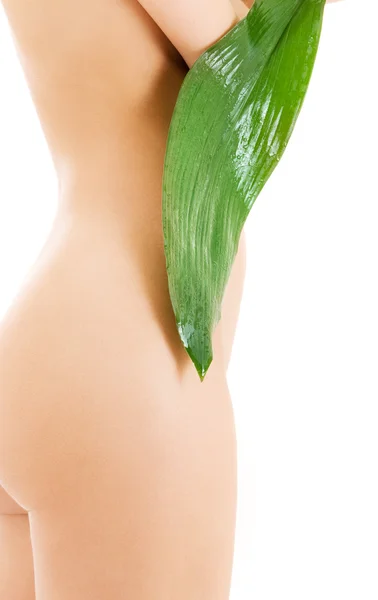 Torso feminino com folha verde sobre branco — Fotografia de Stock