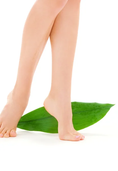Ženské nohy s zelený list — Stock fotografie