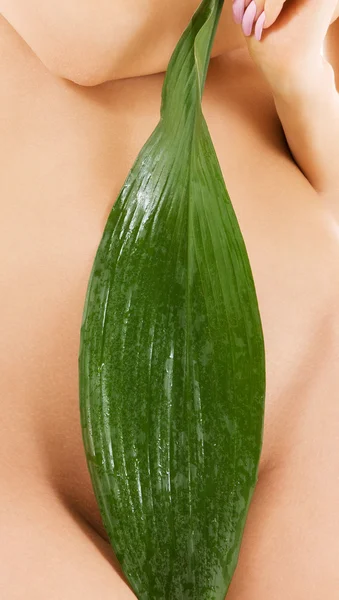 Vrouwelijke romp met groen blad — Stockfoto