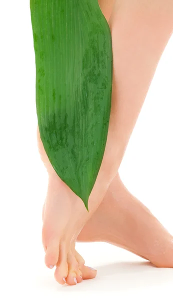 Γυναικεία πόδια με πράσινο φύλλο — Φωτογραφία Αρχείου