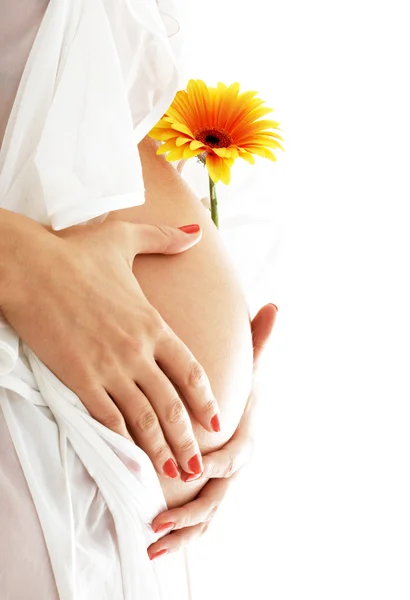Беременная женщина держит живот и желтый цветок — стоковое фото