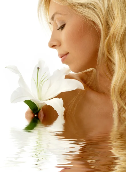 Madonna lily girl in water — Stock Photo, Image
