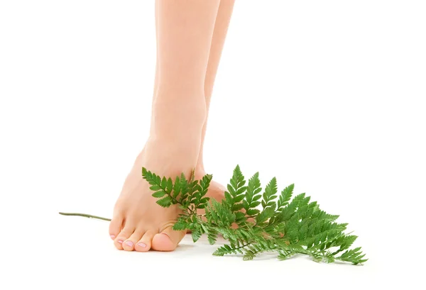 Weibliche Füße mit grünem Blatt lizenzfreie Stockfotos