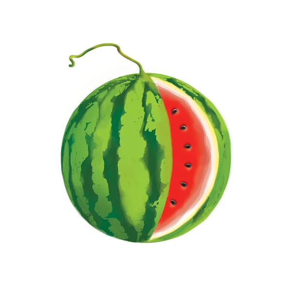 Illustration of watermelon with clipping path — Stock Photo, Image