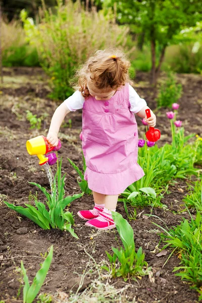 Dívka zalévání květiny — Stock fotografie