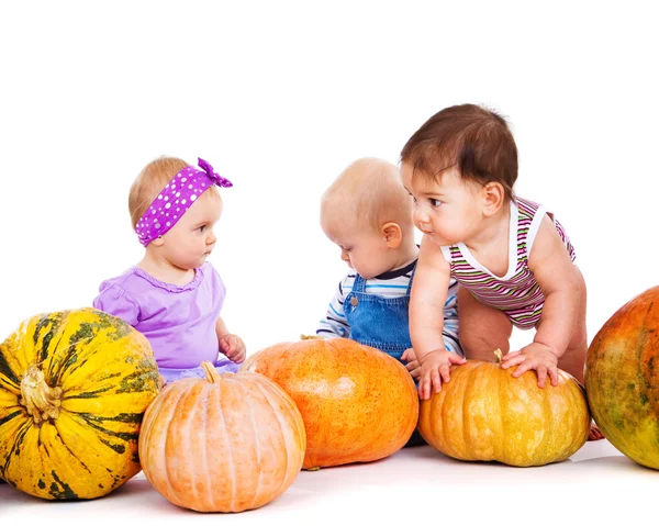 Babies among pumpkins — Stock Photo, Image