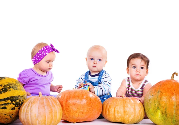 Three cute pumpkin babies — Stock Photo, Image