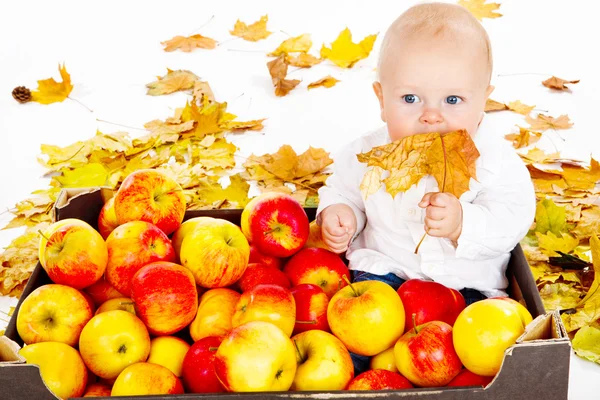 Дитина сидить у яблучній коробці — стокове фото