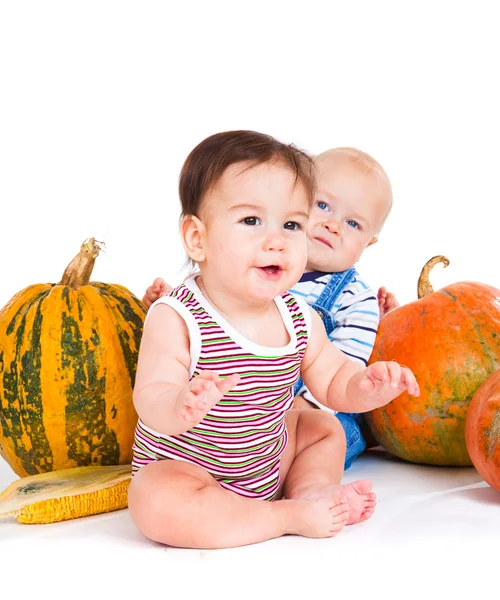 Bebês sentam ao lado de abóboras — Fotografia de Stock