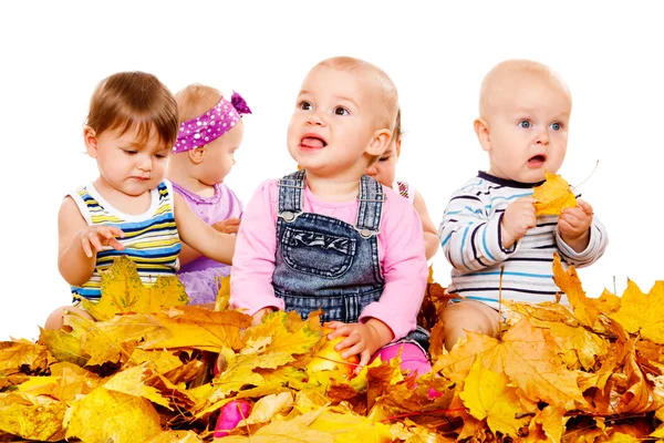 Babies group in yellow leaves — Stock Photo, Image