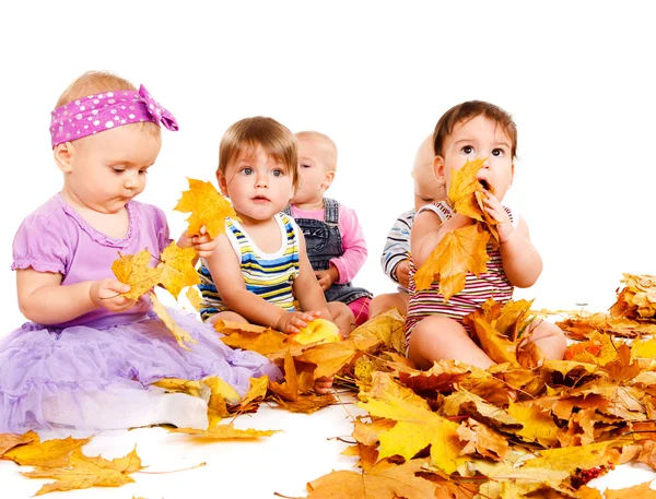 Группа младенцев с жёлтыми листьями — стоковое фото