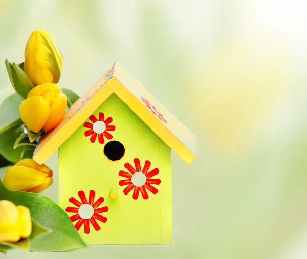 Nestbox e tulipas amarelas — Fotografia de Stock