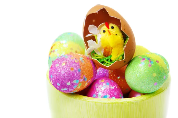Huevos de Pascua y pollo — Foto de Stock