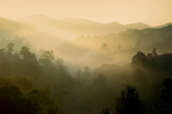 Hill en mist, landschap views — Stockfoto