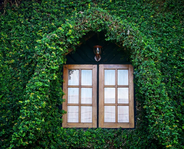 Деревянное окно в альпинистском доме — стоковое фото