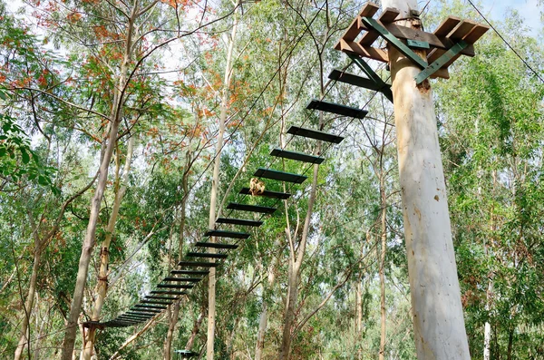 나무 캐노피에 공기 다리 — 스톡 사진