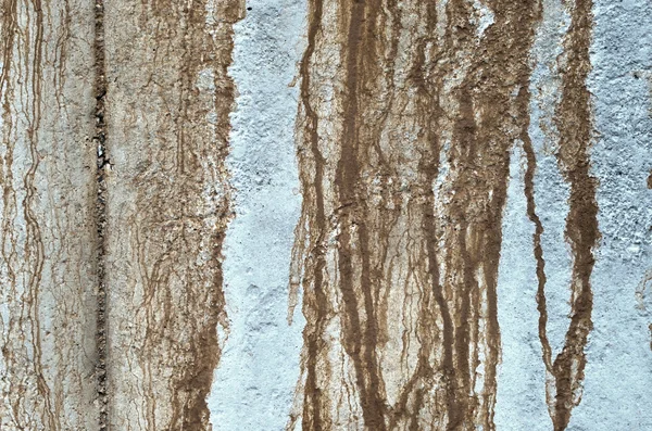 Beton wal üzerinde leke — Stok fotoğraf
