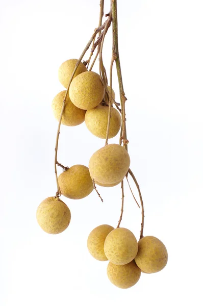 Longan frutas no fundo branco — Fotografia de Stock