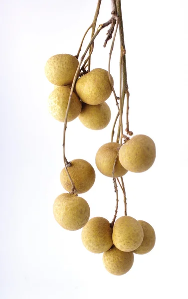 Fruta longan sobre fondo blanco —  Fotos de Stock