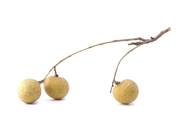 Fruta longan sobre fondo blanco — Foto de Stock