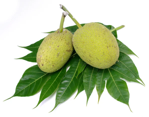Breadfruit isolated on white background — Stock Photo, Image