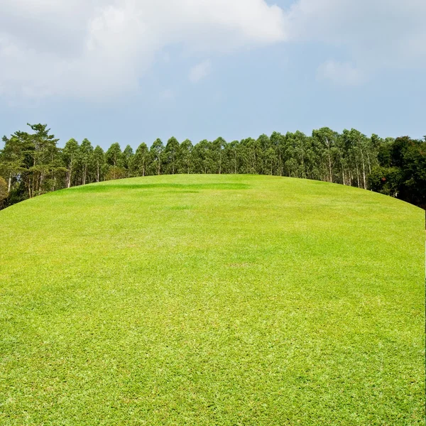 Couse de golfe com céu agradável, conceito de golfe — Fotografia de Stock
