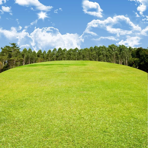 Golf fairway med fin himmel, golf couse koncept — Stockfoto