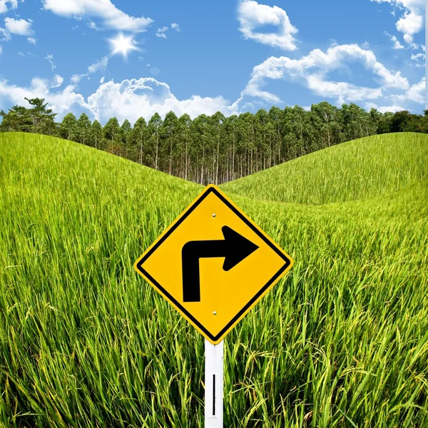 Travel in countryside concept, Turn right sign with rice field — Stock Photo, Image