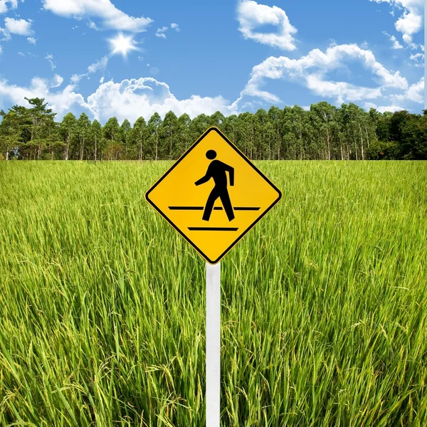 Podróż w koncepcji wsi, skrzyżowaniu znak z pola ryżu — Zdjęcie stockowe