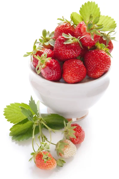 Erdbeere mit grünem Blatt — Stockfoto